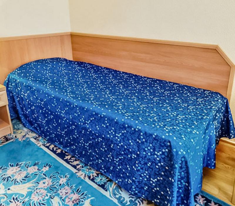 1 местный 1 комнатный Стандарт без балкона в санатории Долина Нарзанов. Кисловодск